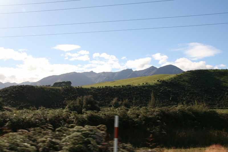 Nieuw-Zeeland 2011 - 1732